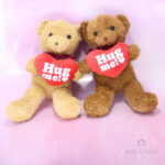 Hug me Teddy Bear (Small) MFV 438