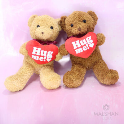 Hug me Teddy Bear (Small) MFV 438