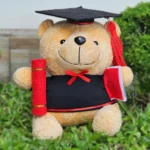 Graduation Teddy Bear