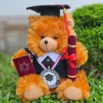 Plush Graduate Bear