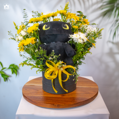 The "Night Fury" Sunshine Box