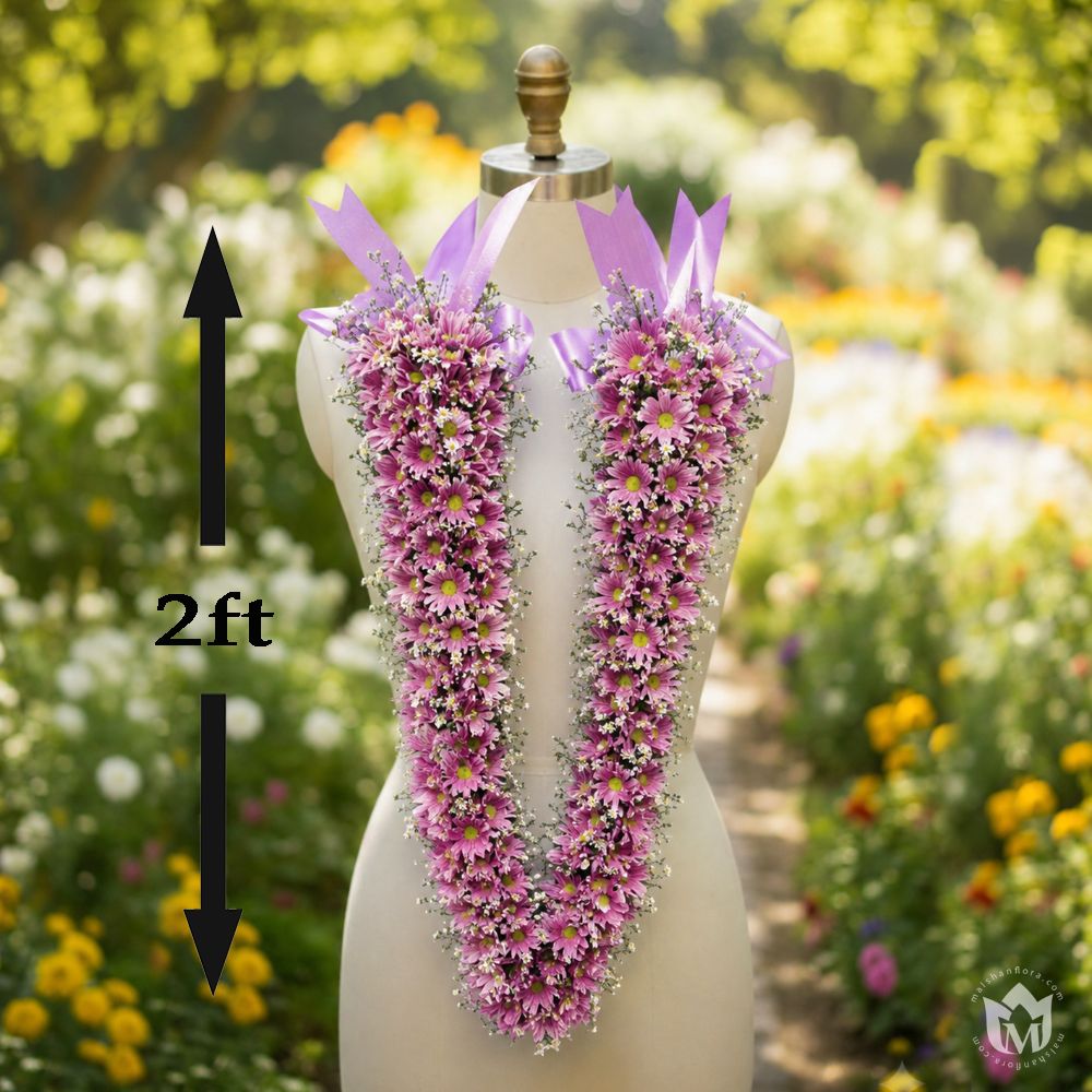 Untitled design (2)