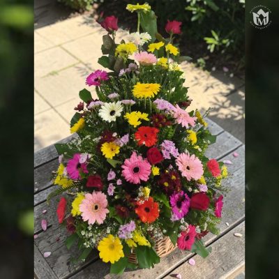 The Sun-Kissed Garden Arrangement