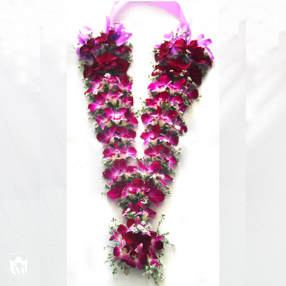 Untitled design (5)