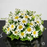 The White Daisy Funeral Dome Coffin Wreath